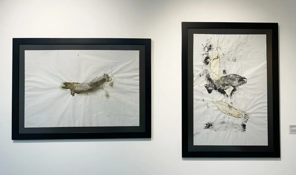 Galería Lupa Facultad de Cine